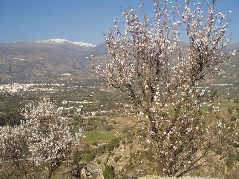montenegro